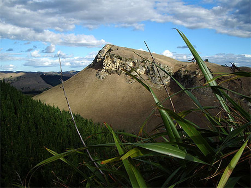 Te Mata Peak