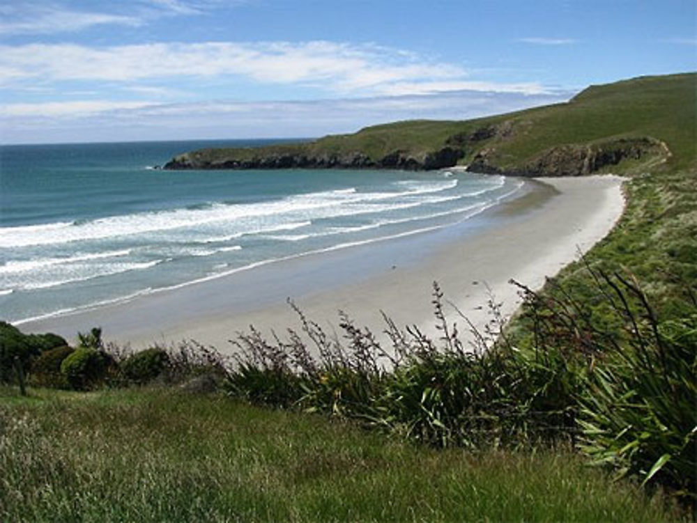 Sandfly Bay