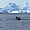 Pêcheurs au pied des énormes icebergs