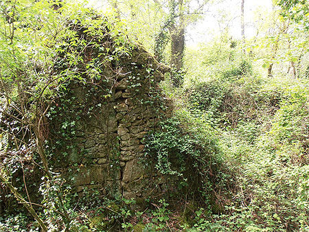 Ruines du &quot;Moulin de l'Enfer&quot;  (Rochard, Mortagne-sur-Sèvre)
