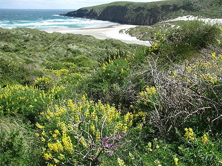 Sandfly Bay Sandfly Bay