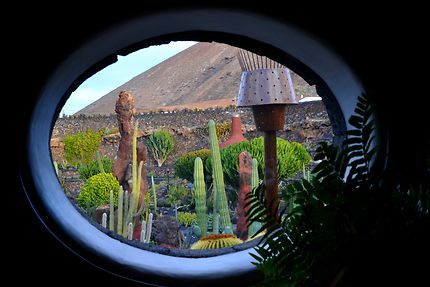 Jardin des cactus Lanzarote