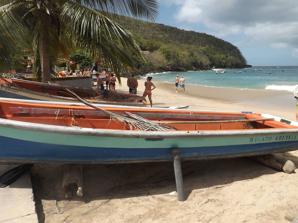 Balade à Anse Noire, Martinique