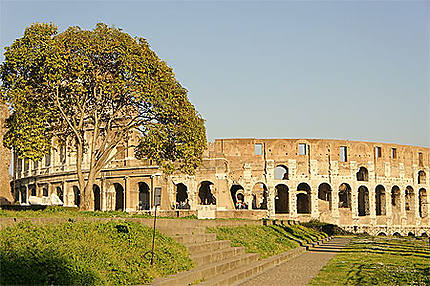 Le Colisée - Rome