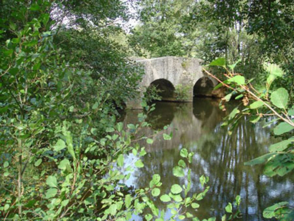 Pont sur le Serein