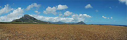 Maurice - Environs de Flic en Flac