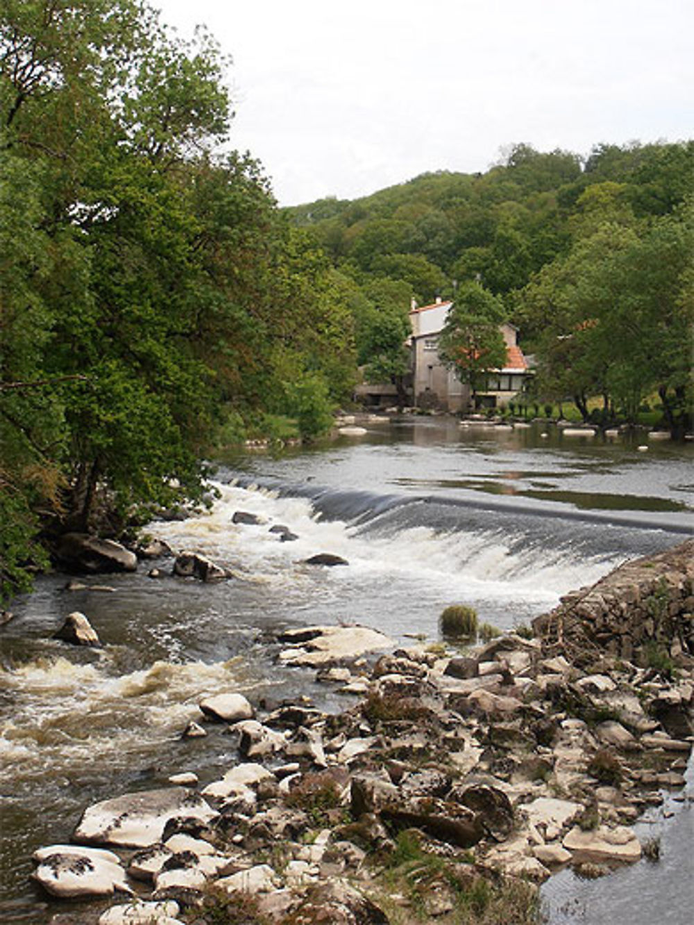 La Sèvre nantaise à Rochard (Mortagne-sur-Sèvre)