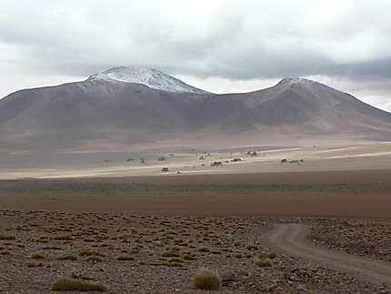 Desert de Dalhi