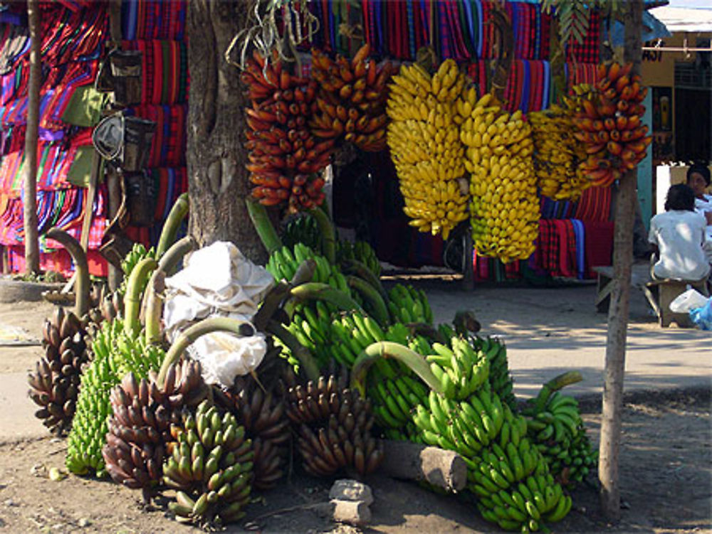 Les merveilles du marché