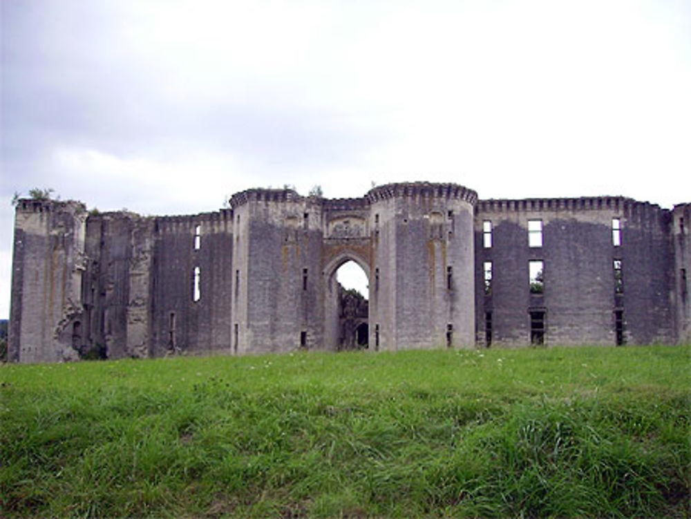 Le château de la Ferté Milon 