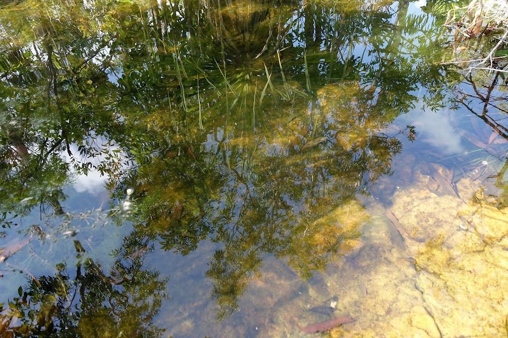 Reflets dans la lumière matinale