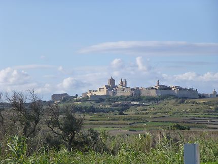 Vue lointaine de Mdina, à Malte