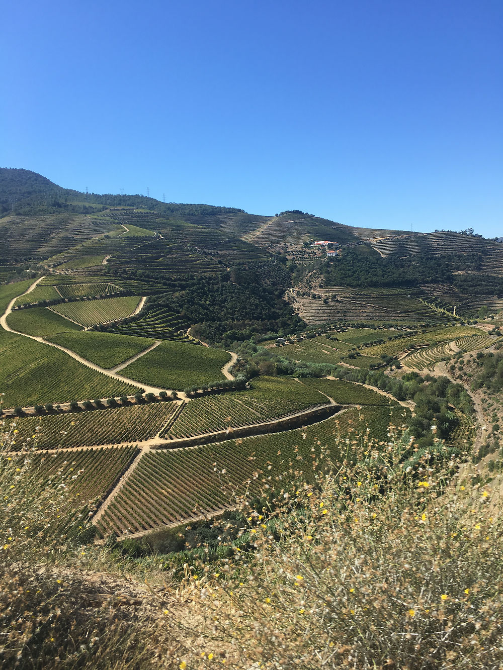 En une belle journée ensoleillée à Peso da Régua