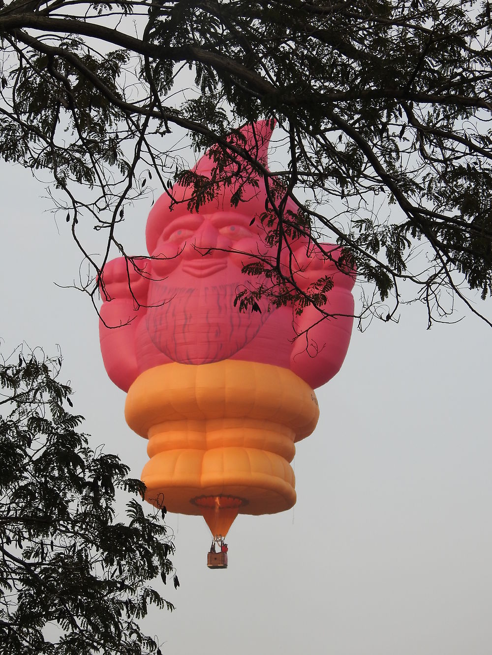 Festival de ballons