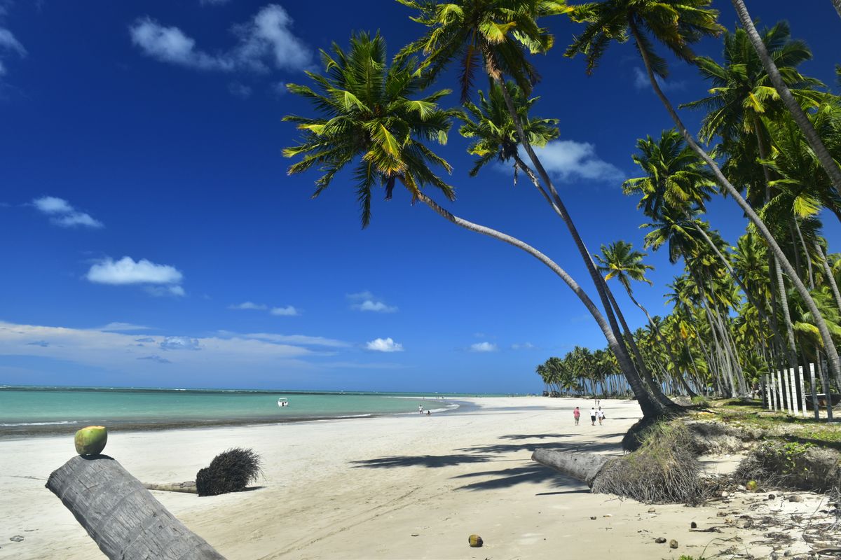 Plage carneiros nordest br  silien Plages Mer Macei     tat