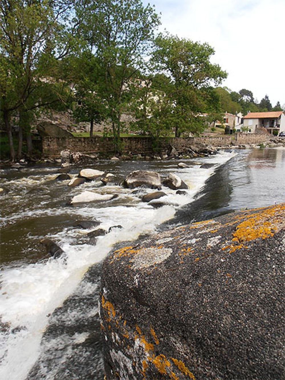 La Sèvre nantaise à Rochard (Mortagne-sur-Sèvre) 