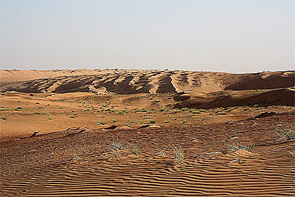 Dunes du wahiba sands