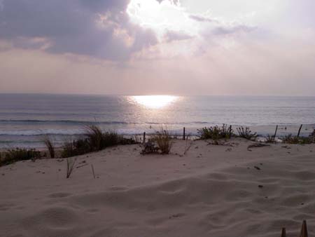 Plage de Carcans Plage de Carcans