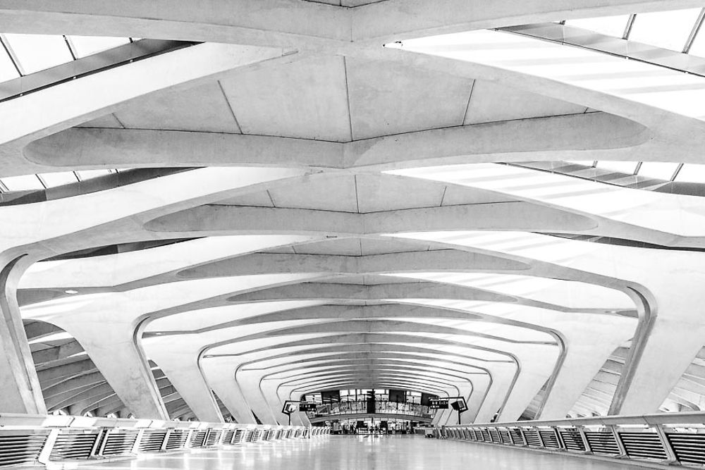 Gare TGV aéroport de Lyon