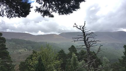 Randonnée à Cairngorms National Park