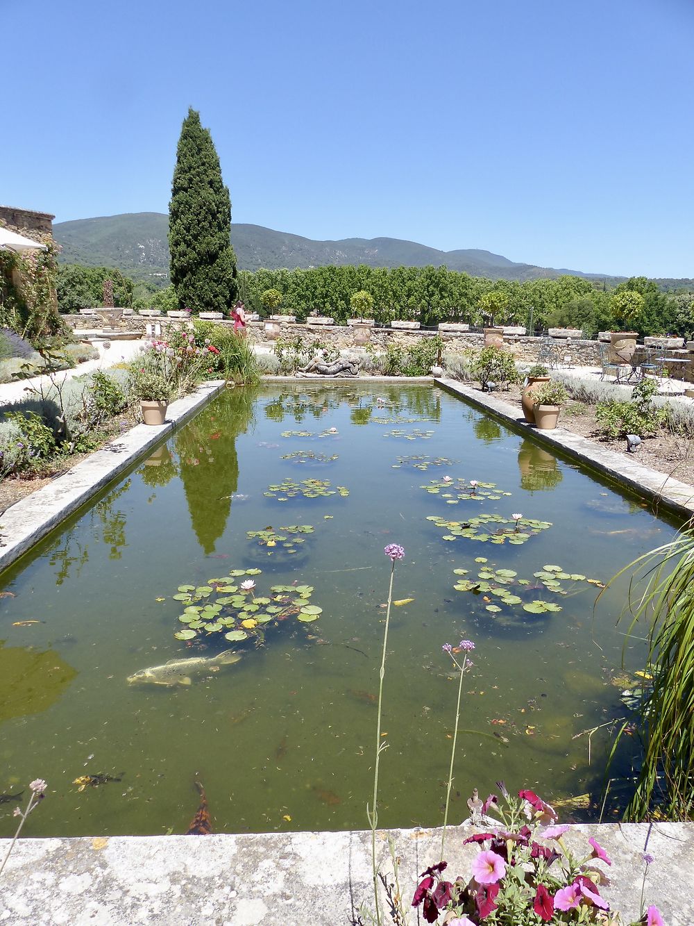 Bassin du Château de Lourmarin 