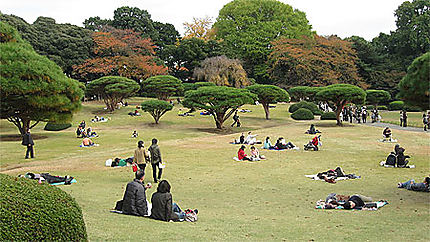 Jardin national Shinjuku Gyoen