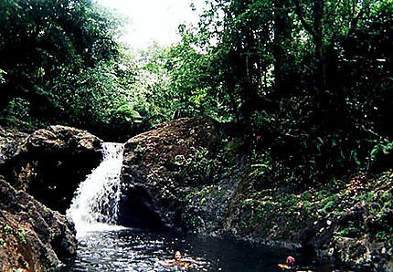 Parc Humboldt à 24 km de Baracoa