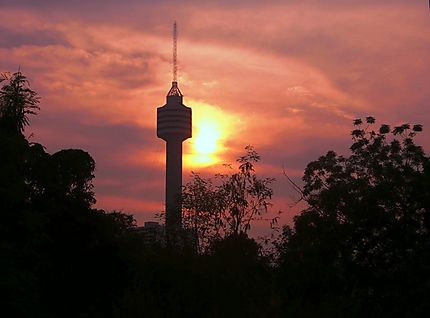 Coucher du soleil sur Pattaya park