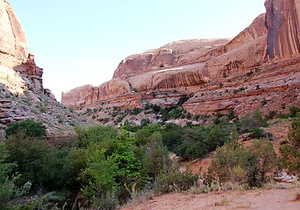 Randonnée "Negro Bill Canyon"