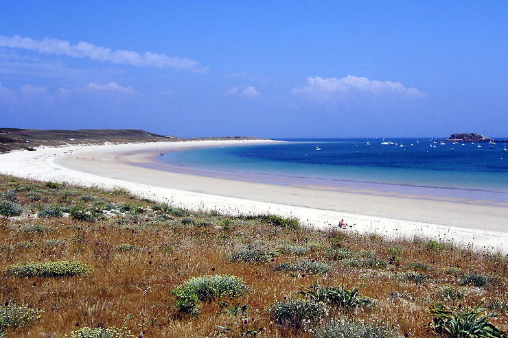 Houat, une île classée Natura 2000