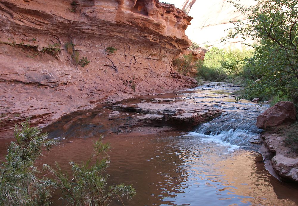 La rivière de "Negro Bill Canyon"