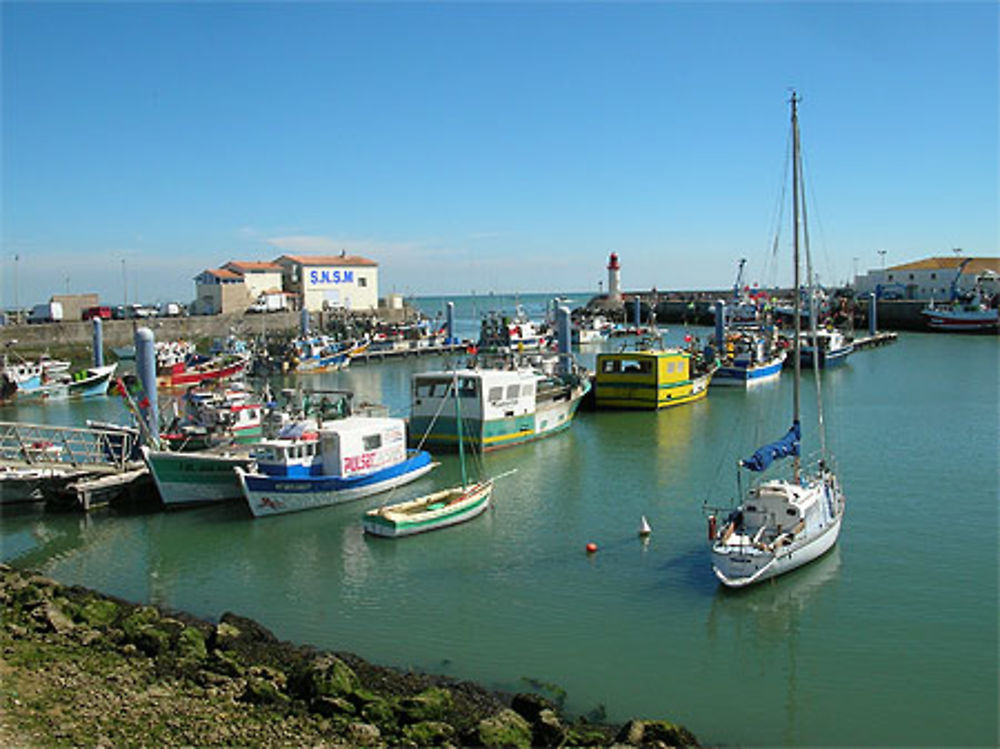 La Cotinière (Ile d'Oléron)