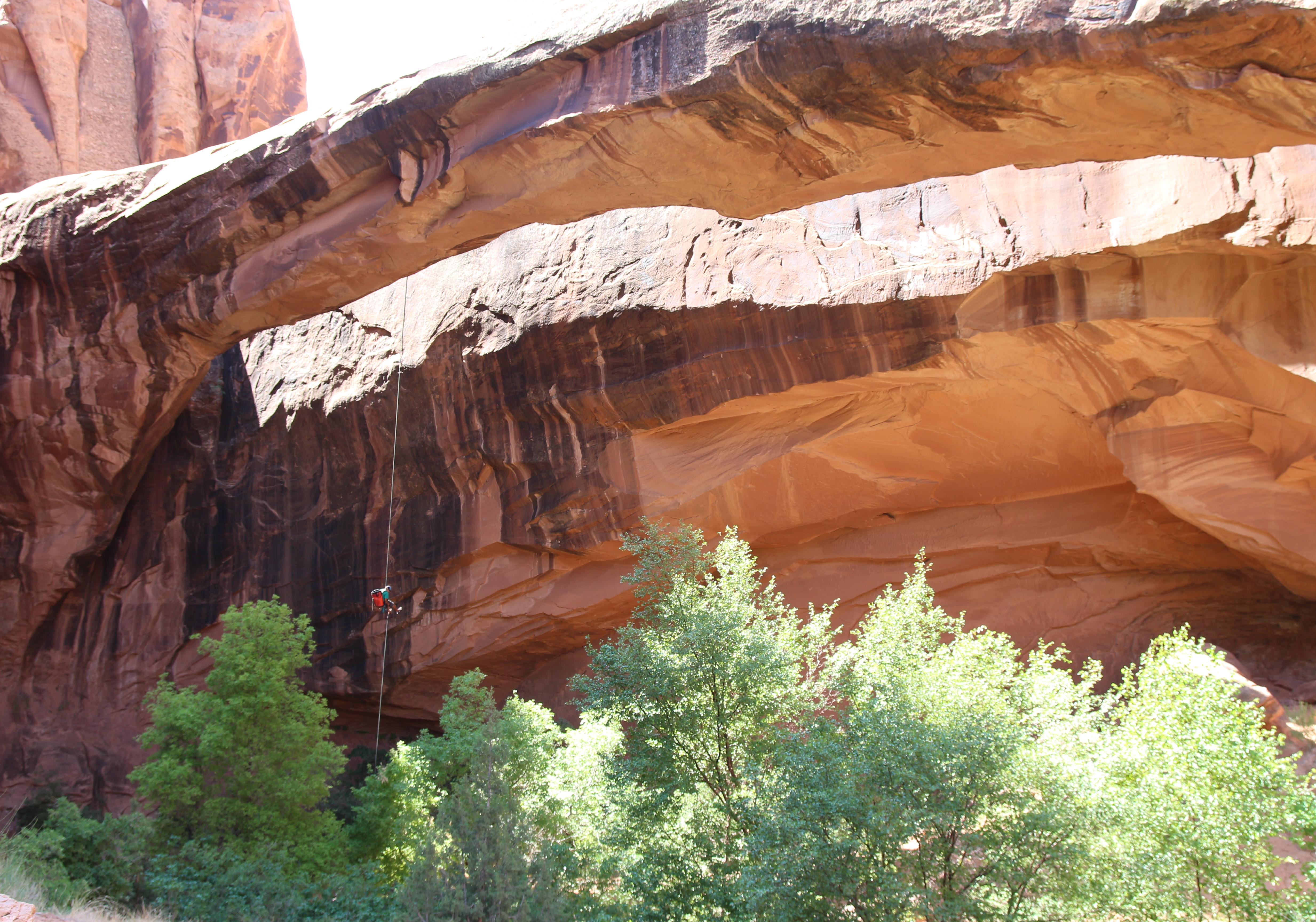 "Morning Glory Arch" "Morning Glory Arch"