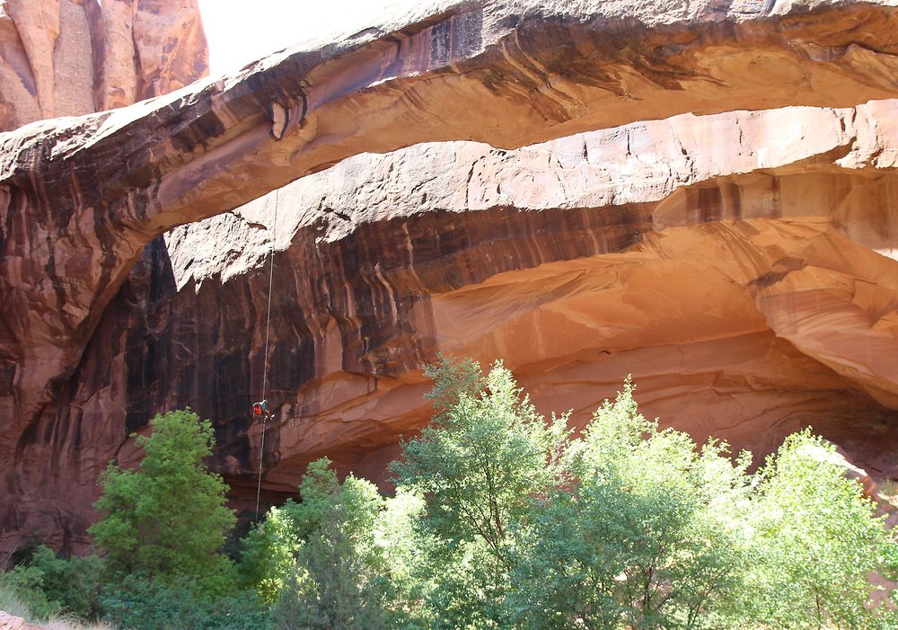 "Morning Glory Arch"