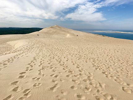 Balade à la dune du Pilat