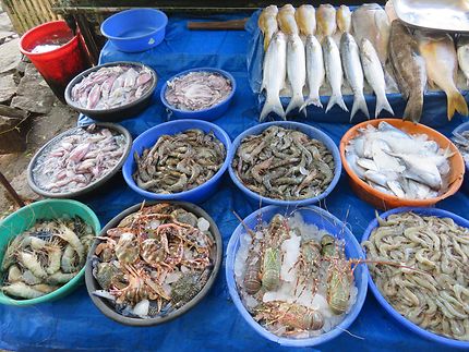 Marché de poissons au Kerala, Inde du Sud