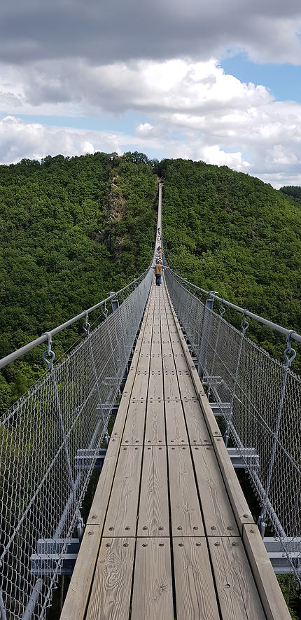 Pont suspendu Geierlay