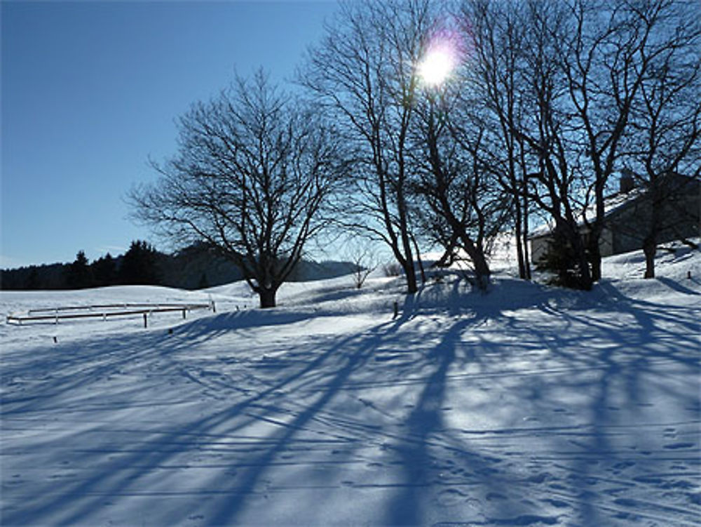 Hautes Combes (La Pesse)