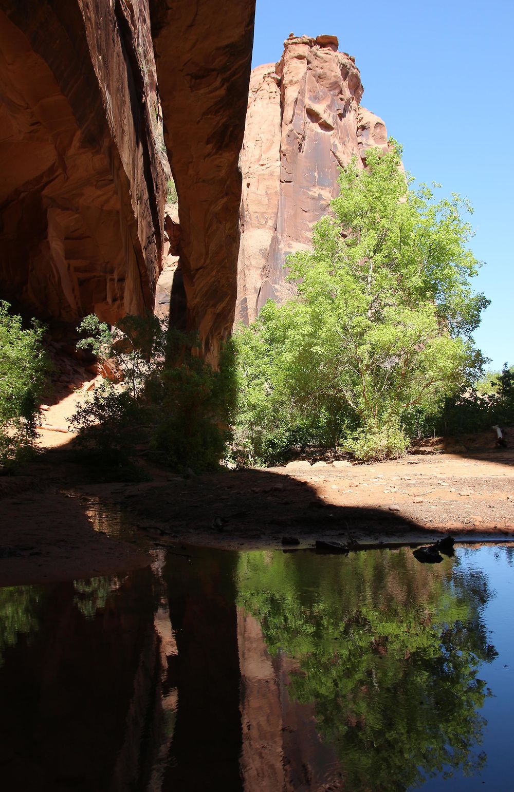 "Morning Glory Arch" se reflète dans le plan d'eau