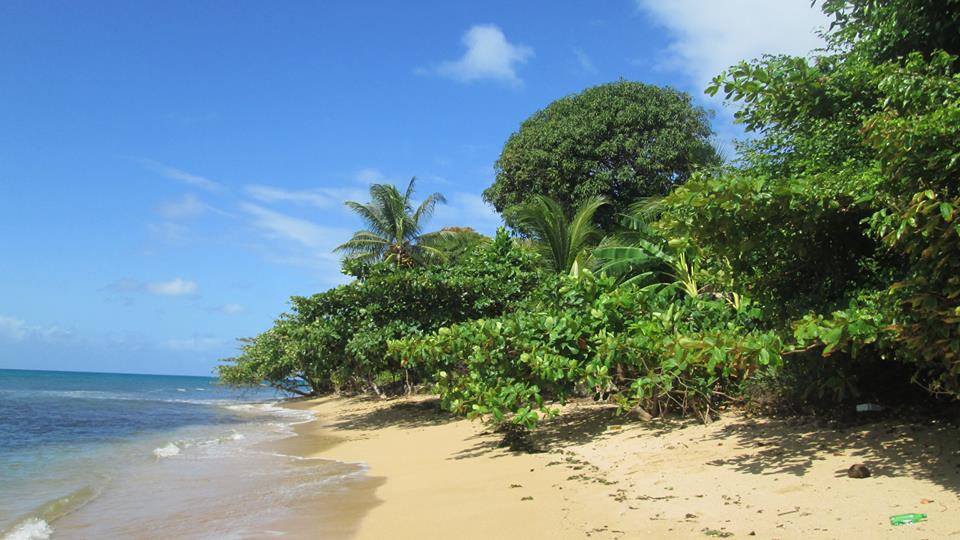Plage little Corn