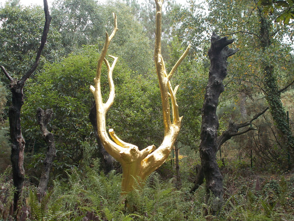 La corne d'or - Brocéliande