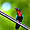 Colibri madère