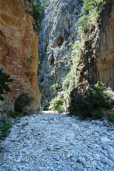 Les gorges du Vyros Les gorges du Vyros