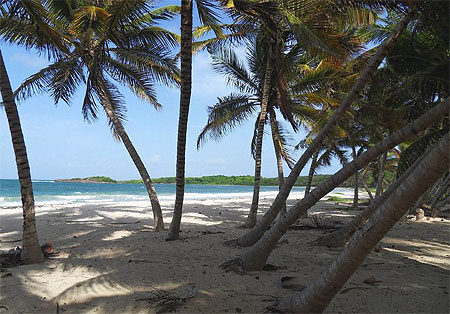 Plage de Grand Macabou Plage de Grand Macabou