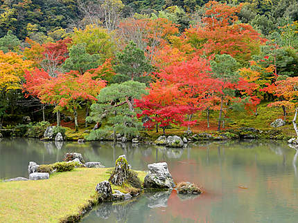 Les jardins du Nijo-jo, à Kyoto