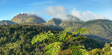 La Guadeloupe en février dès 2181€/pers