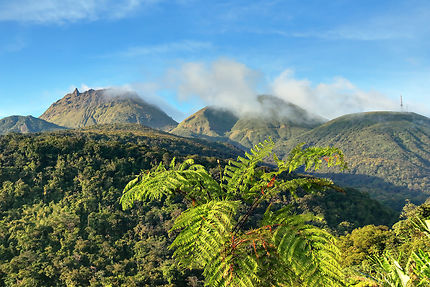 La Guadeloupe en février dès 2181€/pers