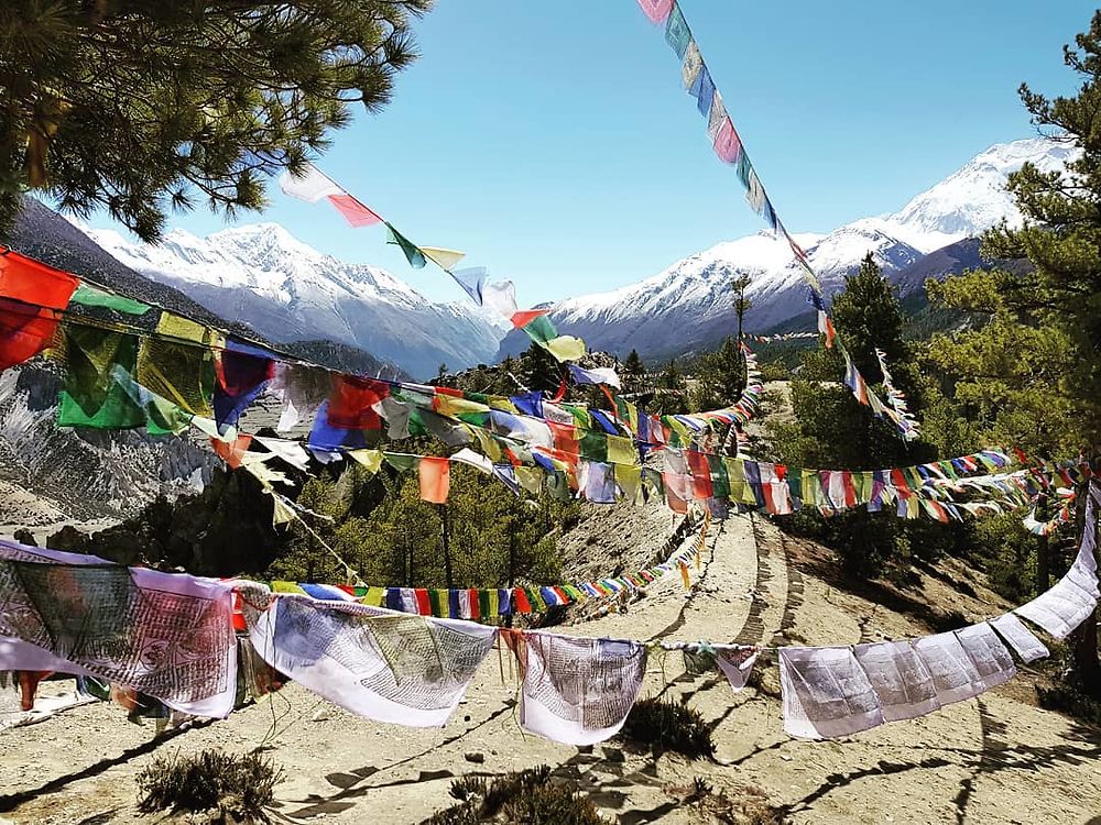 Nepalese Flags, à Manang