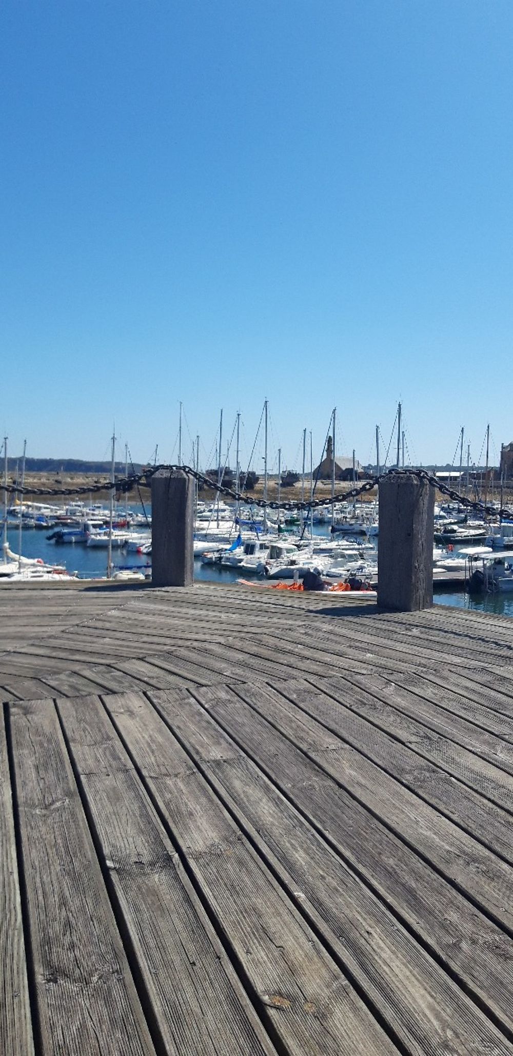 Chaînon manquant... Camaret sur mer