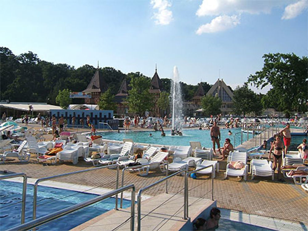 Piscine d'eau thermale à Baile Felix